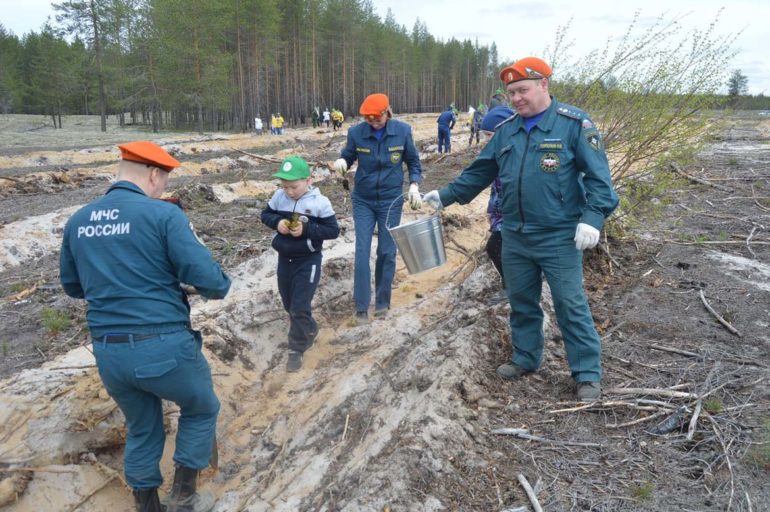 День посадки леса-2018 в Княжпогостском районе