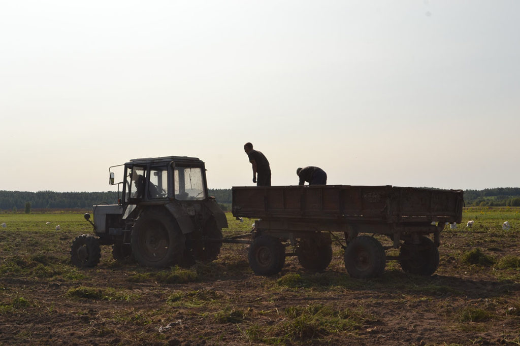 каждый день на поле Княжпогостского района выходит трактор