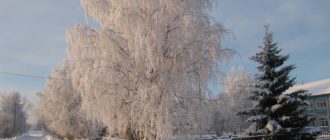Поселок Ветью, Княжпогостский район. Фото Елены Дубовой.