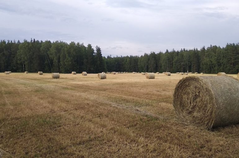 В Княжпогостском округе в самом разгаре кормозаготовительная кампания